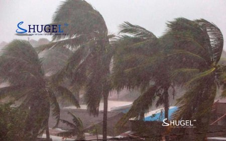 Милтон хар салхины  улмаас  дөрвөн хүн нас барж, олон арван хүн сураггүй хэвээр байна