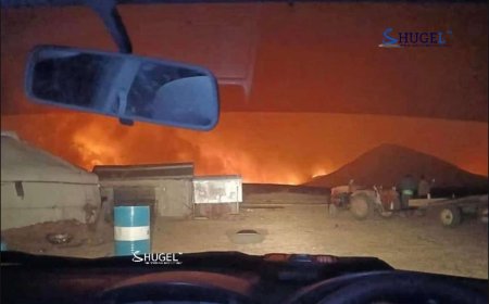 ТҮЙМЭРТ ХОЁР ГЭР, НЭГ ХАШАА ӨРТЖЭЭ