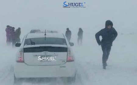 Сонгуульд оролцоод буцаж явсан оюутнууд осолдож, хоёр нь  амиа алджээ