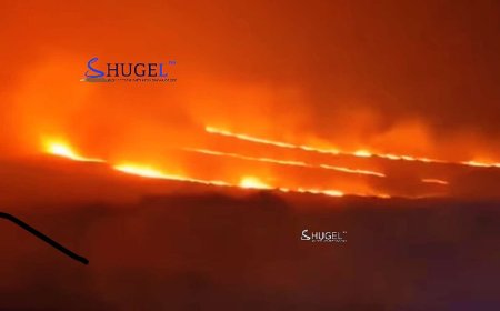 Дорнод аймгийн Баяндун суманд малдаа явж байсан иргэн түймэрт өртжээ