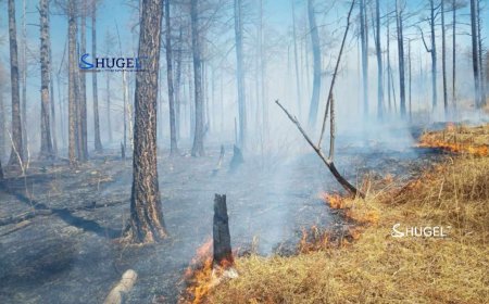 ХЭЭРИЙН ТҮЙМРҮҮДИЙГ БҮРЭН УНТРААЛАА