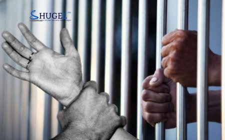 Дагавар охиноо хүчирхийлсэн эрэгтэйд таван жил зургаан сарын ял оноолоо