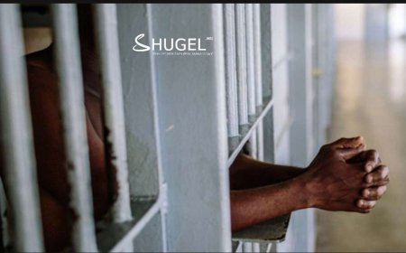 Хоригдол амиа хорлохыг завдсан хэрэг гарчээ