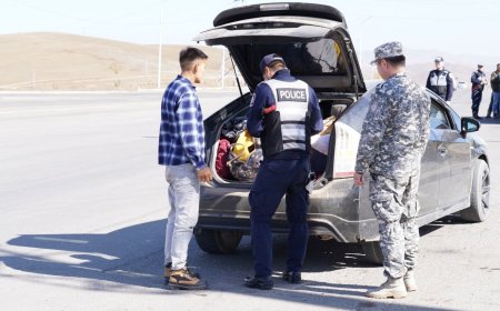 112 мянган тээврийн хэрэгслээс 291 тарваганы мах илрүүлжээ