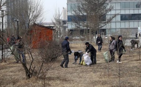 Бүх нийтийн их цэвэрлэгээг 14 хоног зохион байгуулна