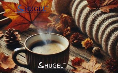 Хамтатгах: Өнөөдөр мэргэжлийн ур чадвар өндөр байх тул ажил дээрээ амжилт гаргах боломжтой