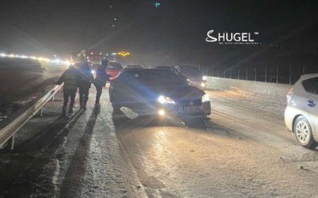 Ослын улмаас 5 том хүн, 2 хүүхэд нас баржээ