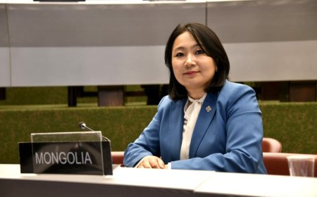 ОУПХ-ны Парламентчдын хүний эрхийн тусгай хороо С.Зоригийн хэргийг шалгаж байна