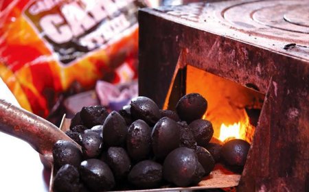 Өдөрт 4-5 кг-аас дээш шахмал түлш түлбэл зуух дэлбэрэх аюултай