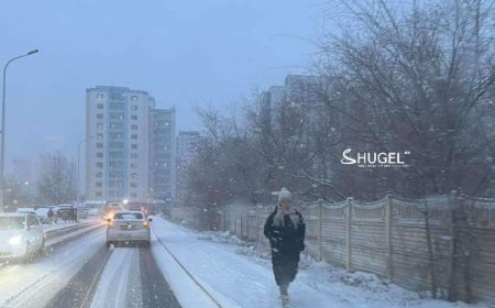 УЛААНБААТАРТ МАРГААШ БУЮУ ДАВАА ГАРАГТ ЦАС ОРНО, ӨДӨРТӨӨ  15 ХЭМ ХҮЙТЭН