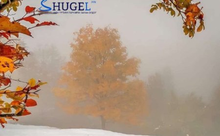 Улаанбаатарт 9 хэм дулаан