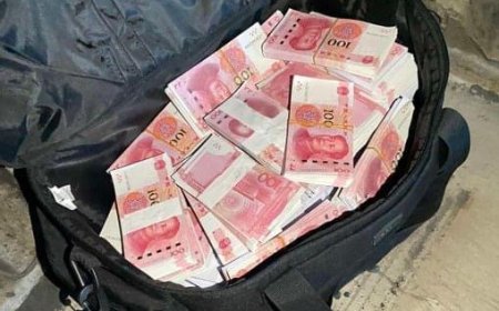 Хятадад монгол оюутнуудыг  эрүүгийн хэрэгт холбогдуулан шалгаж байна