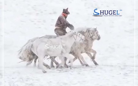 АМРАЛТЫН ӨДРҮҮДИЙН ЦАГ АГААР: 11-нд Алтай, Хангай, Хэнтийн уулархаг нутгаар цас орно