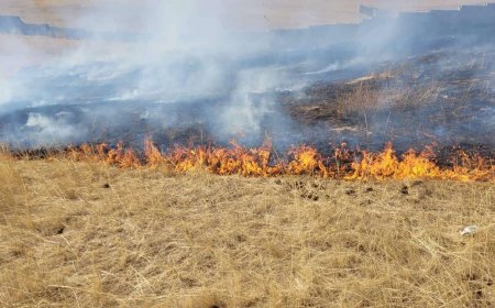 ''Приус 20'' шатсанаас гал гарч,  2 км урт, 300 метр өргөн талбайд  шар өвс шатжээ