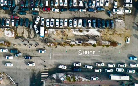 ''Toyota Рrius-10''  болон ''Toyota Grand mark-2'' маркийн  хоёр автомашин  хулгайд алдагджээ