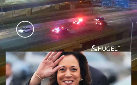 Камала Харрисын машинтай ойрхон зөрсөн согтуу жолоочийг баривчилжээ