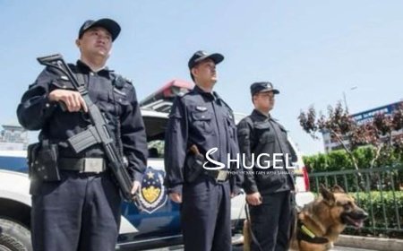 Шанхайд суралцаж байгаа монголын хоёр оюутанд эрүүгийн хэрэг үүсгэжээ