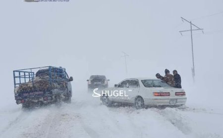 Цасан шуурга шуурч, үзэгдэх орчин хязгаарлагдахыг анхаарууллаа