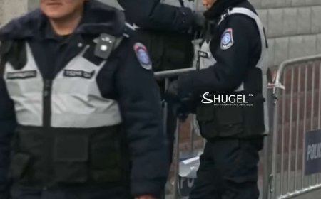 Цаасны хутга тулган айлган, сүрдүүлж дээрэмджээ