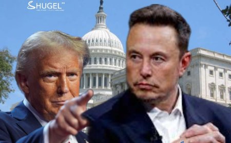 Илон Маскийг  Засгийн газрын үр ашгийг дээшлүүлэх агентлагийг даргаар Д. Трамп томилно