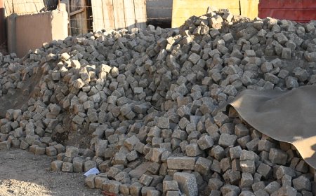 11 орчим газар авто замуудыг зөвшөөрөлгүй сэтэлсэн болохыг тогтоожээ