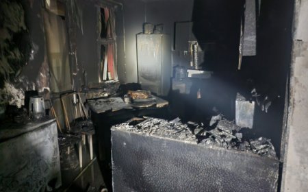 Ханс вилл хотхоны байранд  гал гарч, 50 гаруй иргэнийг утаажилтын бүсээс гаргажээ