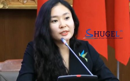 С.Цэнгүүн: Харийн дарангуйлал орж ирэх нь гэж айдаст автуулж төсөл гацаадаг жишиг байсаар байна