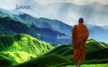 Эл өдөр буян номын үйлд шамдах, бүтээл туурвил эхлэх, худалдаа арилжаа хийх, бизнес эхлэх,  хийморийн дарцаг хатгахад сайн