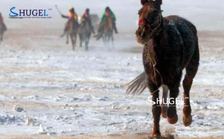 Мориноос унаж амиа алдсан хүү сумын зааны ганц хүү байжээ