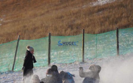 Чаргаар хүүхэдтэйгээ хамт  гулгаж байсан эмэгтэй сараалжин хашаа мөргөж, нас баржээ