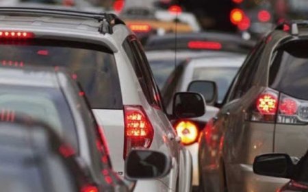 Дугаар хязгаарлах эсэх санал асуулгад оролцсон иргэдийн 68 хувь нь дэмжжээ