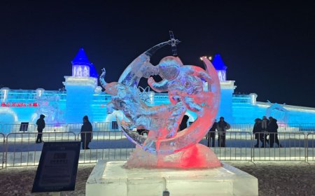 Мөсөн сийлбэрээр  манай  дөрвөн баг оролцож хоёр нь алт, мөнгөн медаль хүртлээ