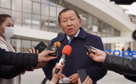 П.Цагаан нарыг баривчлах  захирамжийг хүчингүй болгуулах Нийслэлийн прокурор, мөрдөгчийн саналыг шүүх хүлээн авчээ