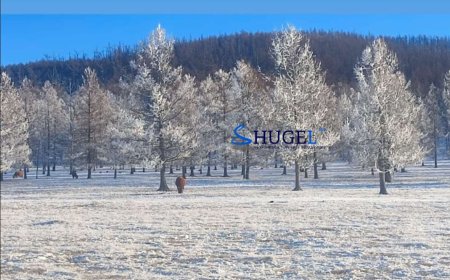 УЛААНБААТАРТ БАГАВТАР ҮҮЛТЭЙ, ЦАС ОРОХГҮЙ 14 ХЭМ ХҮЙТЭН