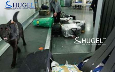 Хүн худалдаалах гэмт хэргийн эрсдэлд орсон 45 аялагчийн аяллыг хилээр гаргахаас өмнө зогсоожээ