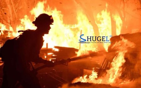 Түймэрт 800 га талбай өртжээ