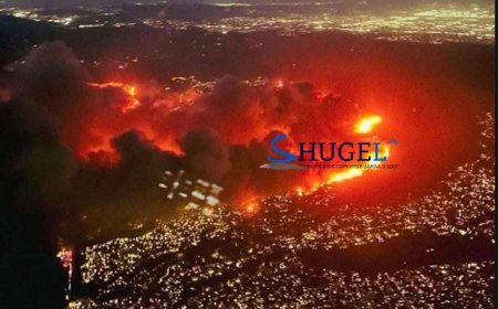 Лос Анжелесын эзгүй тансаг байшингуудыг тоносон хэрэгт холбогдуулан цагдаа нар 20 хүнийг баривчлан саатуулжээ