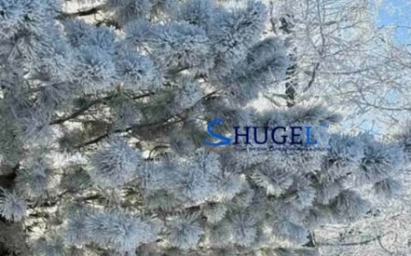 Улаанбаатарт өдөртөө 8 хэм хүйтэн