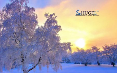 УЛААНБААТАРТ 9 ХЭМ ХҮЙТЭН, ЦАС ОРОХГҮЙ