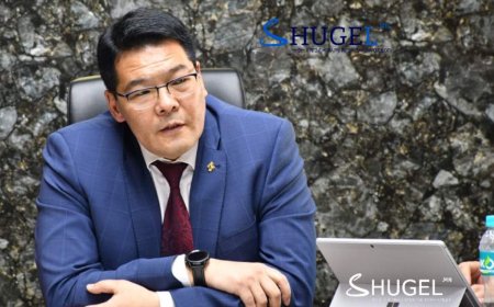 ЭМДЕГ-ын даргаар Эрүүл мэндийн сайд асан С.Энхболдыг  томилжээ