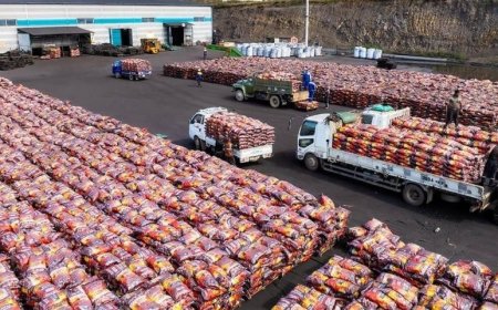 Ирэх гуравдугаар сарын 1-нээс эхлэн шахмал түлш түлэхгүй