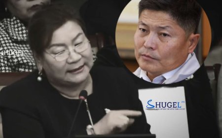 н.Оюунжаргал:  7000 хүн угаараар нас барсан гэж байгаа, та нар нууж байгаа