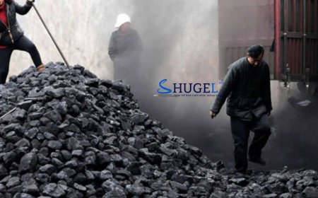 Өвлийн улиралд түүхий нүүрсний хэрэглээ нэмэгдэхэд ураг аяндаа зулбах, өсөлтгүй болох давтамж нэмэгдэх хандлага ажиглагджээ