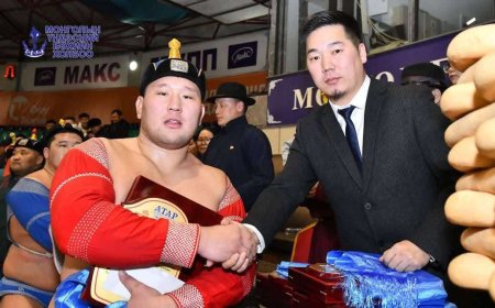 ХУРЦ АРСЛАН Н.ӨСӨХБАЯР ХОЁР ДАХИА ТҮРҮҮЛЛЭЭ