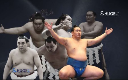 Мэргэжлийн сүмог МОНГОЛЧУУДЫН АНХААРАЛД дахин авчирсан ЗУРГАА ДАХЬ ИХ АВАРГА Хошёорюү С.Бямбасүрэн