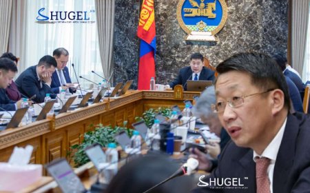 Засгийн газар өнөөдөр ЦАГААН САРЫН АМРАЛТЫГ  5-10 хоног болгох тухай асуудлыг хэлэлцэнэ