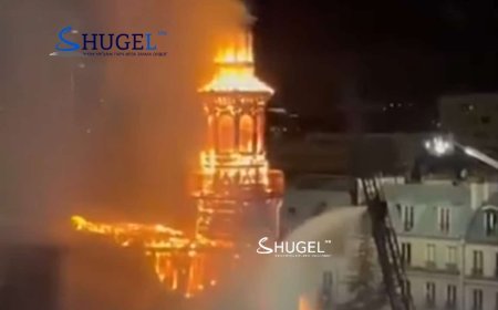 Парис хотын хонхтой цамхагт гал гарчээ