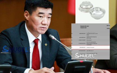 Батлан хамгаалах яамны ШИЛЭН ДАНСНЫ мэдээллээс харахад дээрх 7 сая төгрөг ''хүндэтгэл үзүүлэх'' нэрээр гарчээ