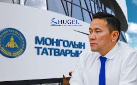 Д.Энхтүвшин:   Намайг л дуугүй болгох  гэж  эхнэрийн компаниудад татварын албанаас  шалгалт оруулжээ