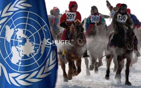 Хаврын морин уралдааныг эсэргүүцэж, цахим өргөдөлд гарын үсэг цуглуулж эхэлжээ